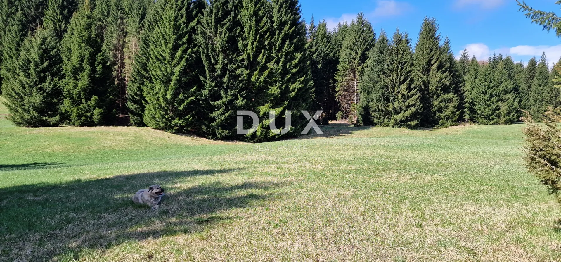 delnice, ravna gora - zemljišta ukupne površine 13400 m2 - slika 6