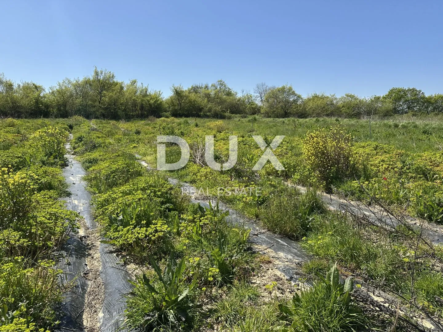zadar, murvica - poljoprivredno zemljište s potencijalom - 3000m² - slika 3