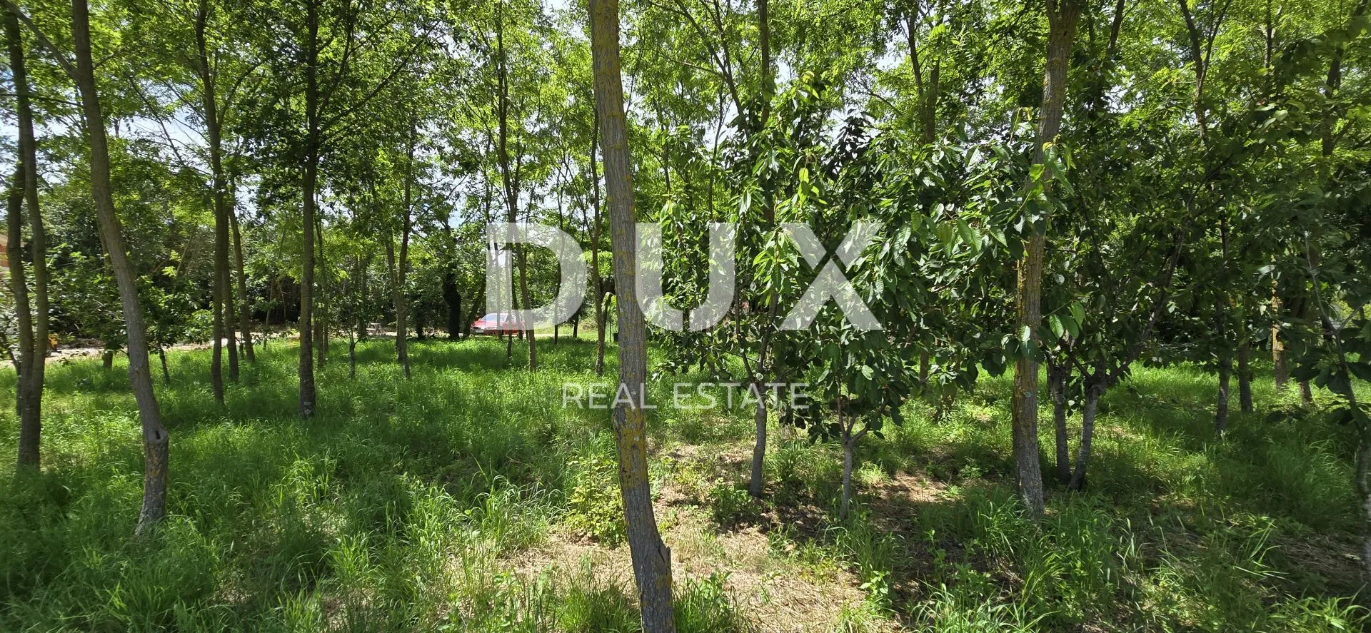 istra, kanfanar- prekrasna građevinska parcela - slika 6