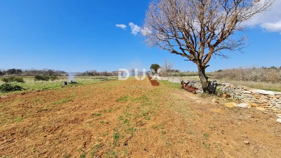 istra, pula - poljoprivredno zemljište 3700 m2 - slika 4