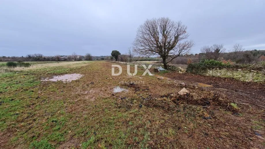 istra, pula - poljoprivredno zemljište 3700 m2 - slika 9