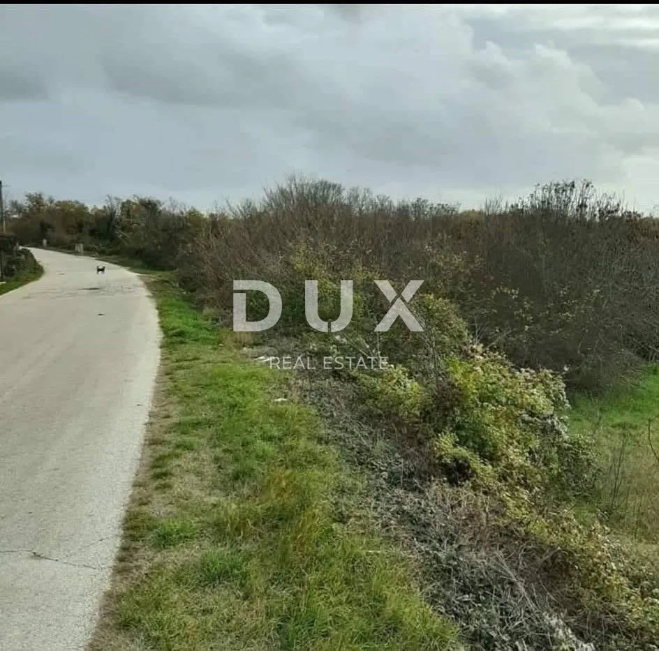istra, juršići građevinsko zemljište 1980 m2 - slika 5