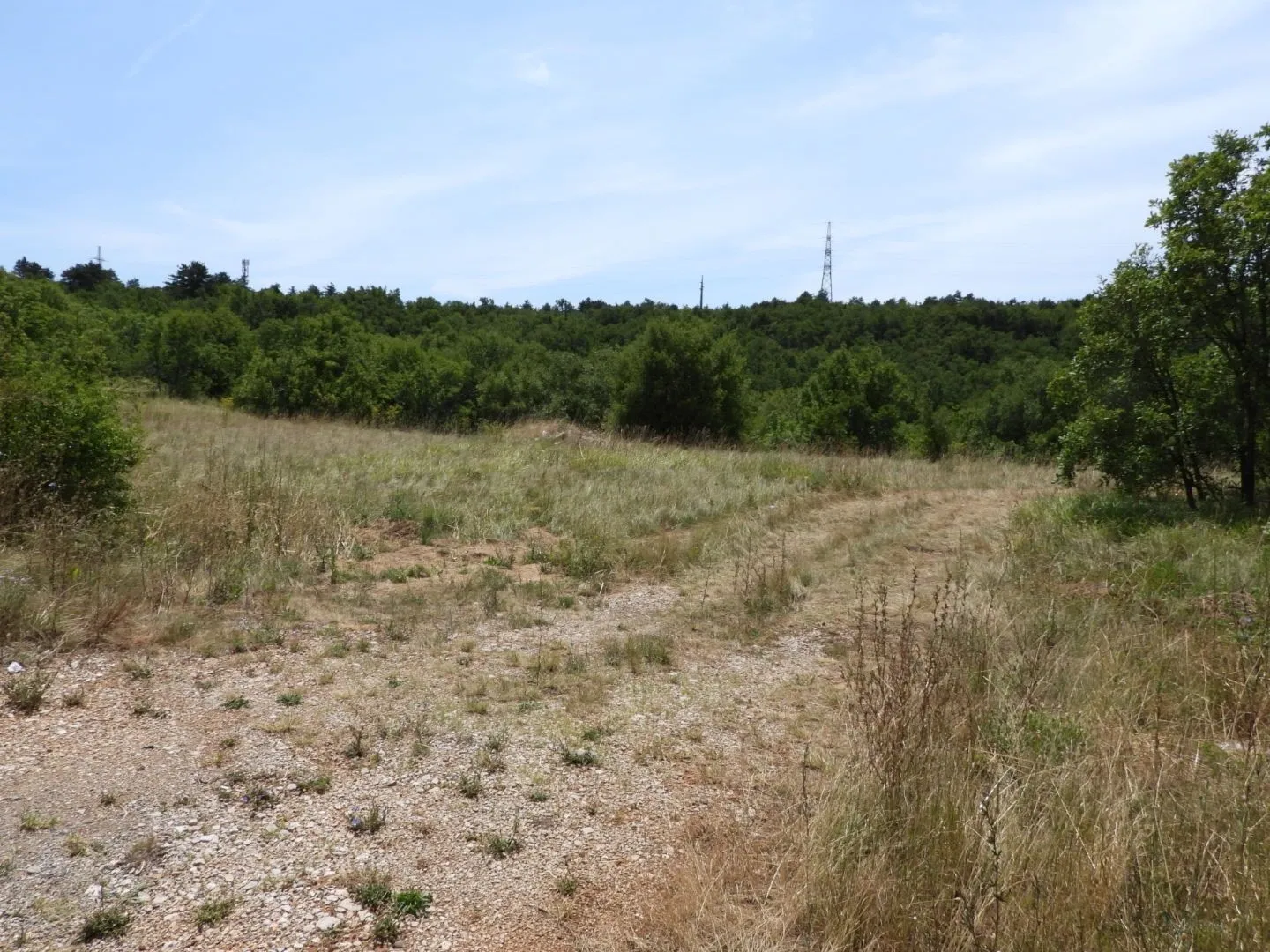 kukuljanovo industrijska zona - građevinski teren 4570m2 za halu / poslovnu zgradu - slika 13