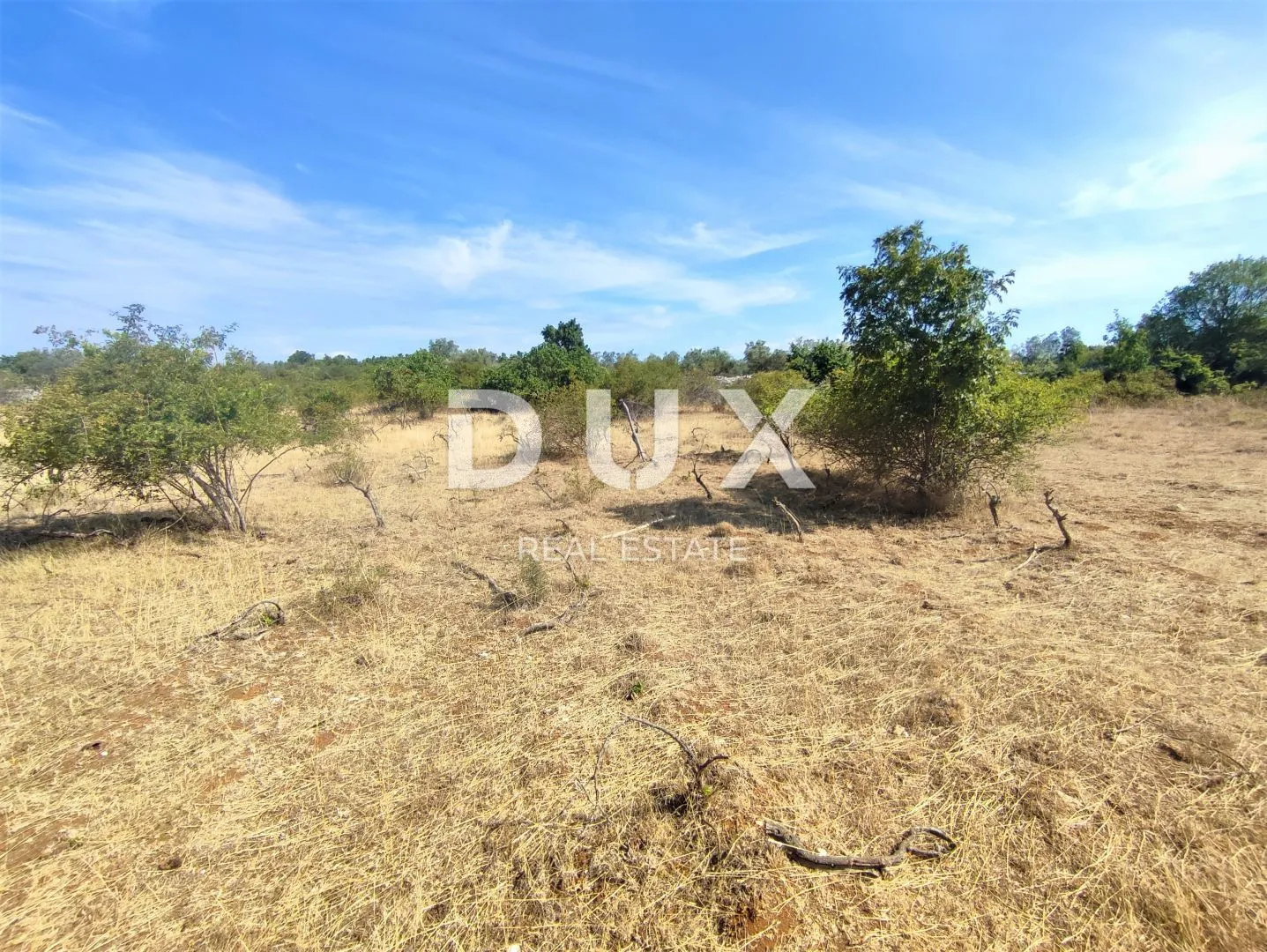istra, salvela - prostrano zemljište 7379 m2! - slika 6