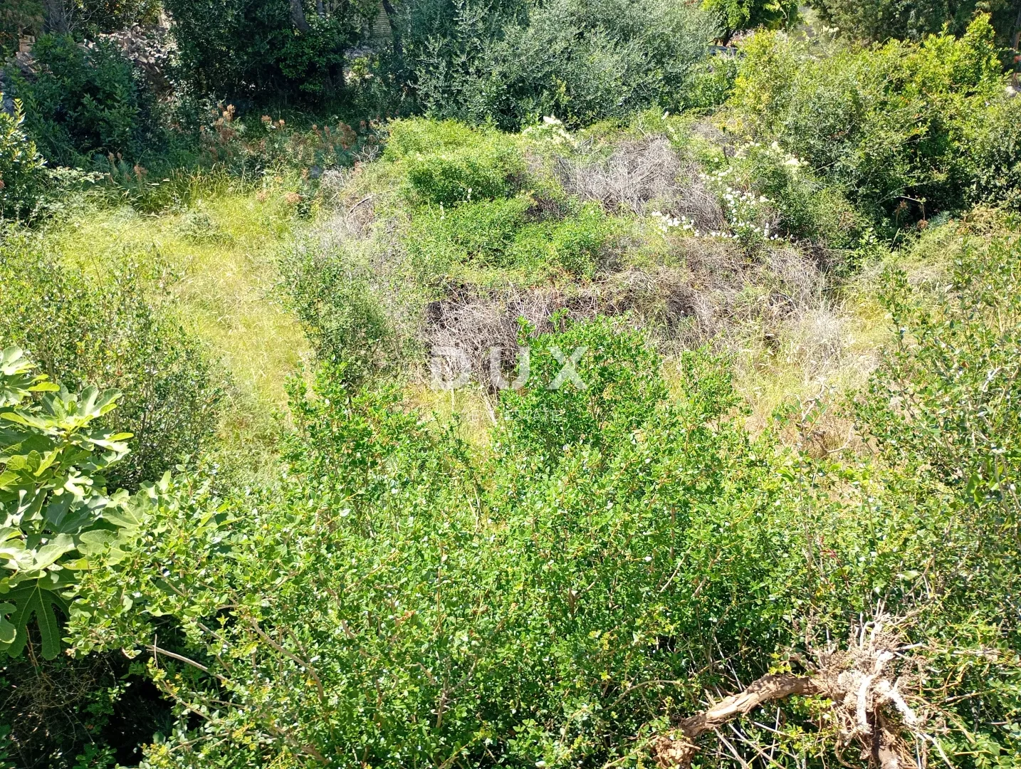 otok pag, lun - građevinsko zemljište 622 m2 - slika 2