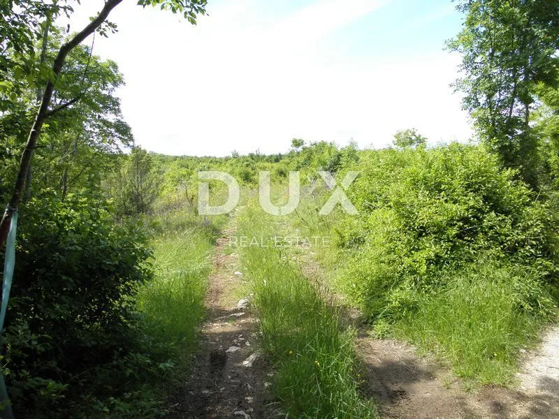 istra, labin - poljoprivredno zemljište 44000m2 sa ruševnim objektom - slika 7