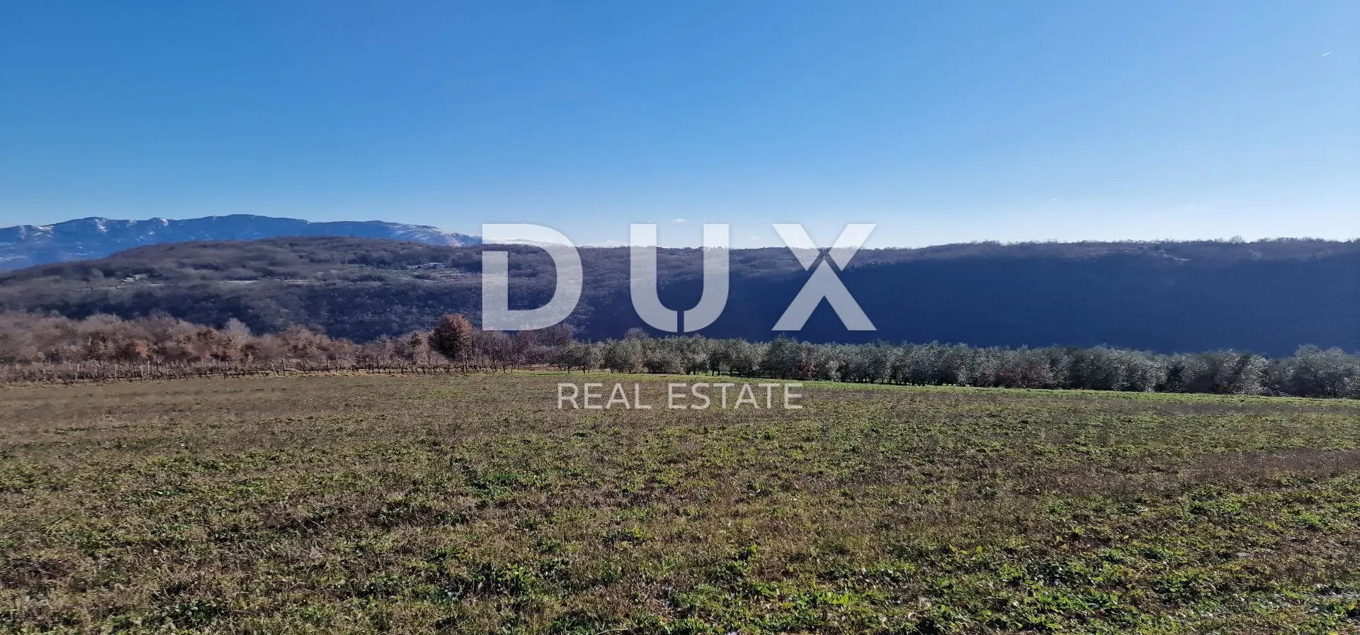 istra, labin, pićan - potpuna osama i prekrasan pogled!! građevinsko zemljište 750m2 i poljoprivredno 692 m2 - slika 6