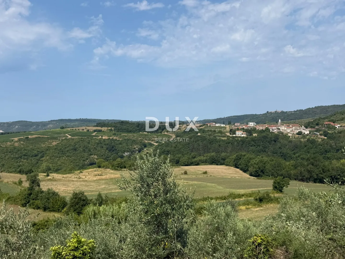 istra, grožnjan - građevinsko zemljište s predivnim pogledom i maslinama - slika 1