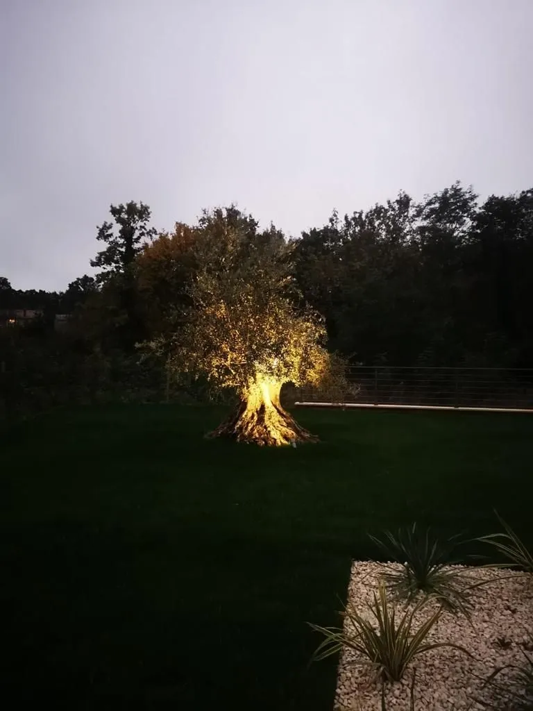 istra, barban - visokokvalitetna kamena vila s bazenom - slika 27