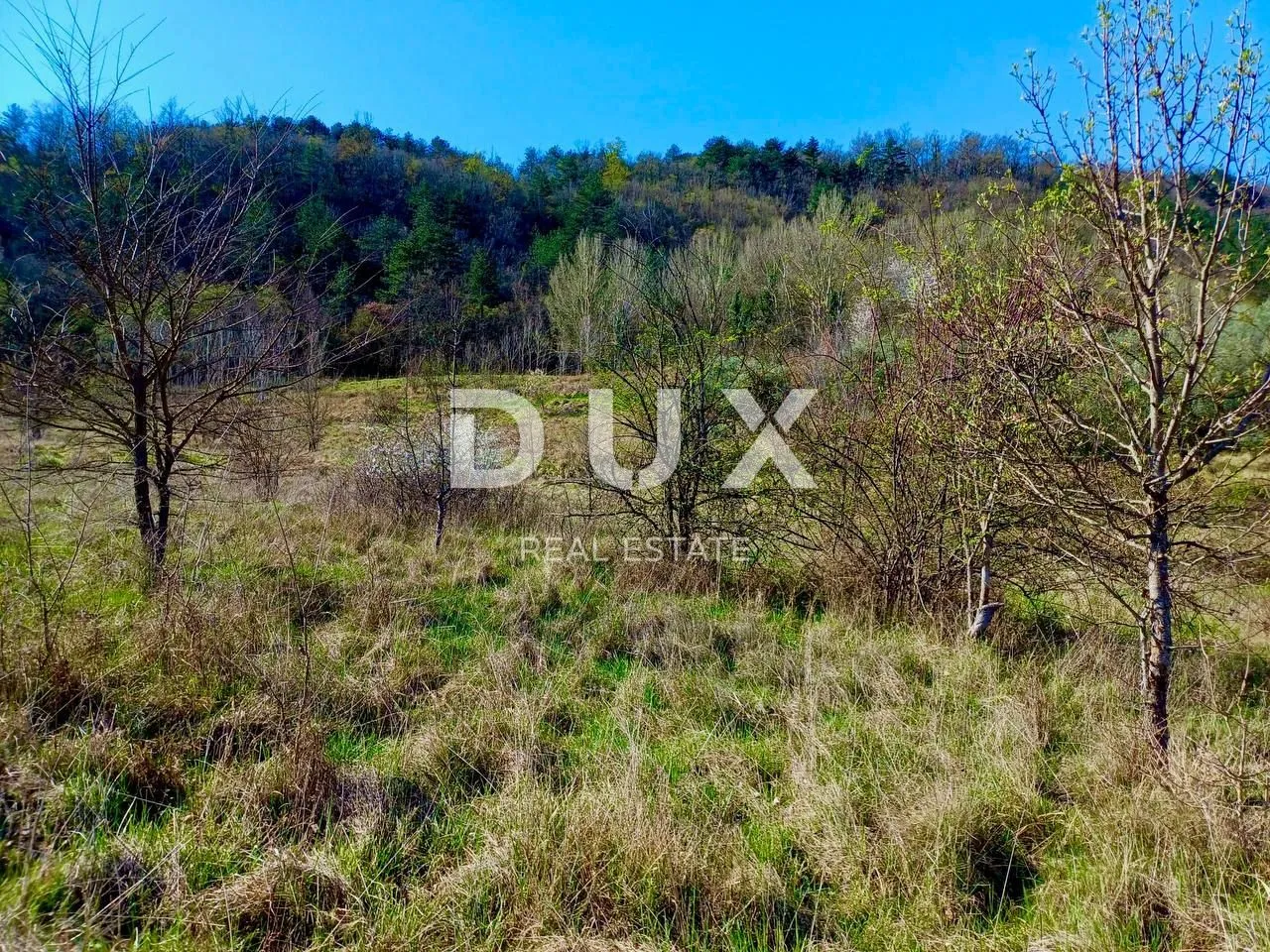 buzet, istra - poljoprivredno zemljište - slika 10
