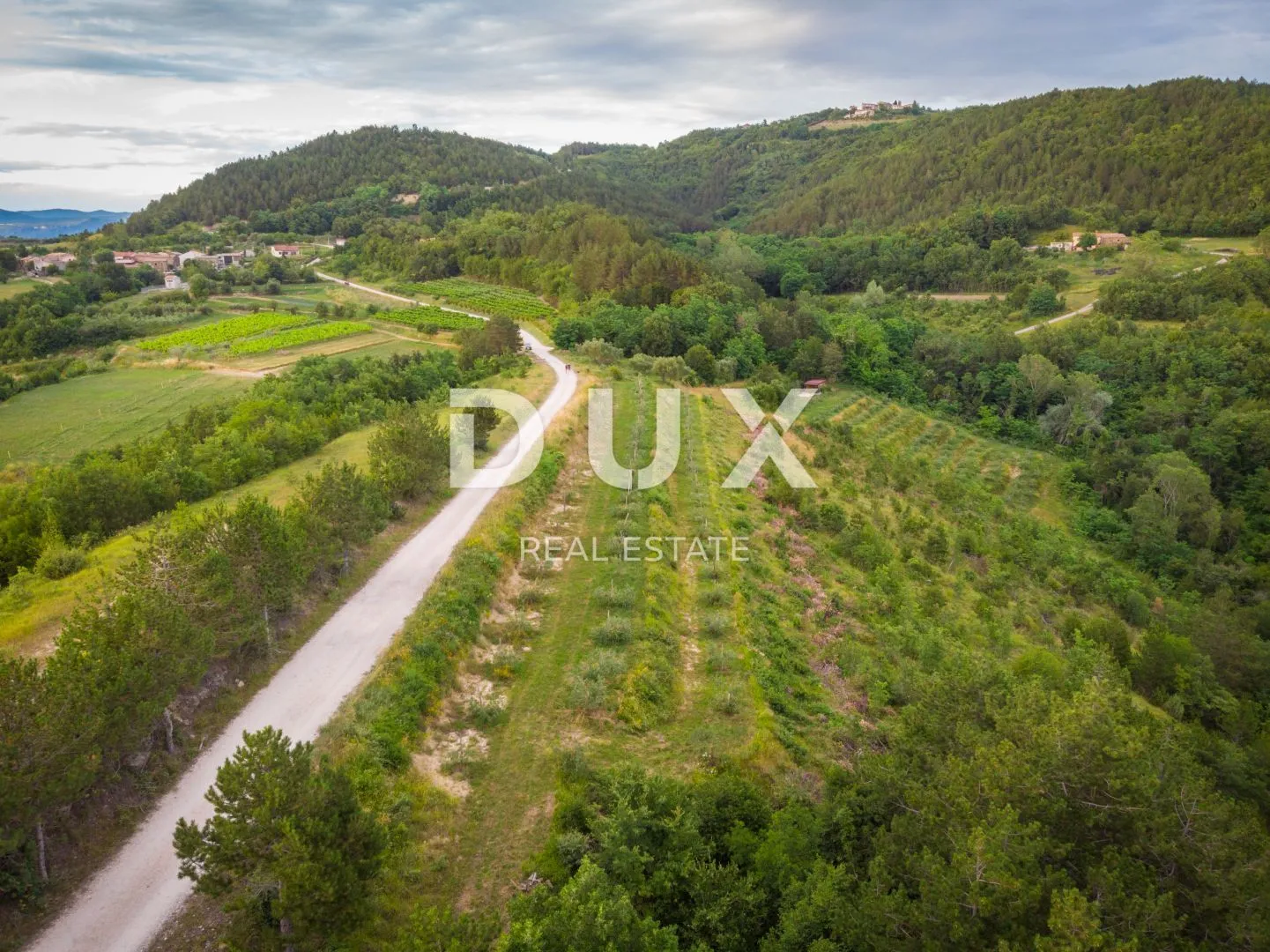 istra, cerovlje, grimalda – maslinik među brežuljcima, 280 stabala na 2,4 ha - slika 7