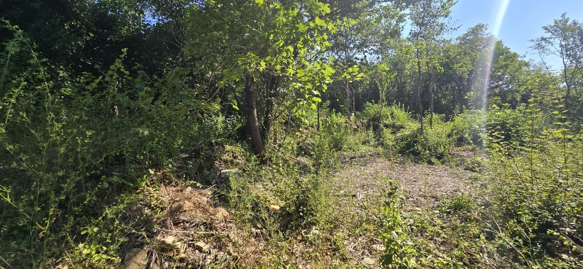 istra, kršan - imanje za adaptaciju na osami - slika 21
