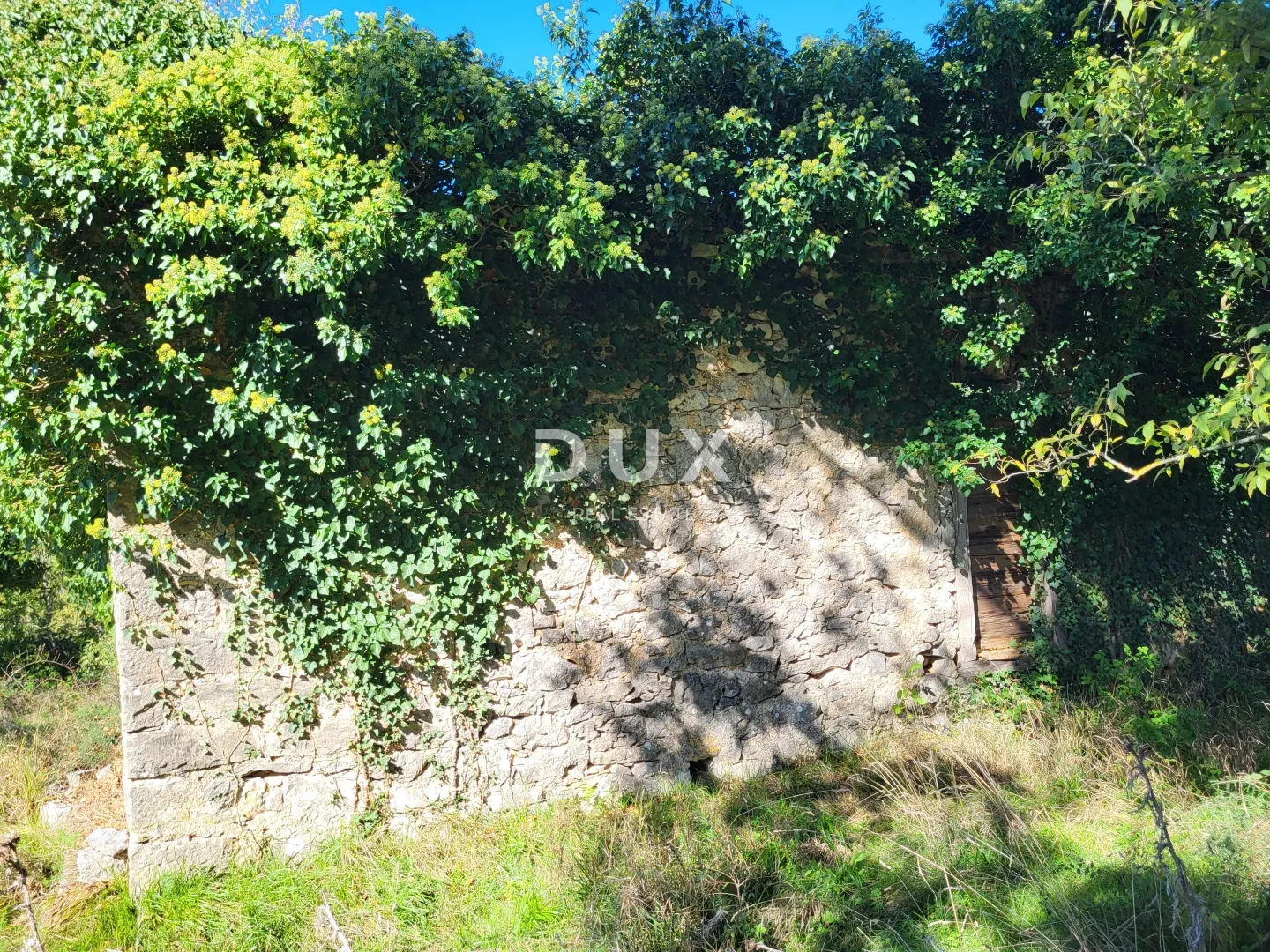 lupoglav, boljunsko polje, kamene kuće, 166 m2 - slika 7