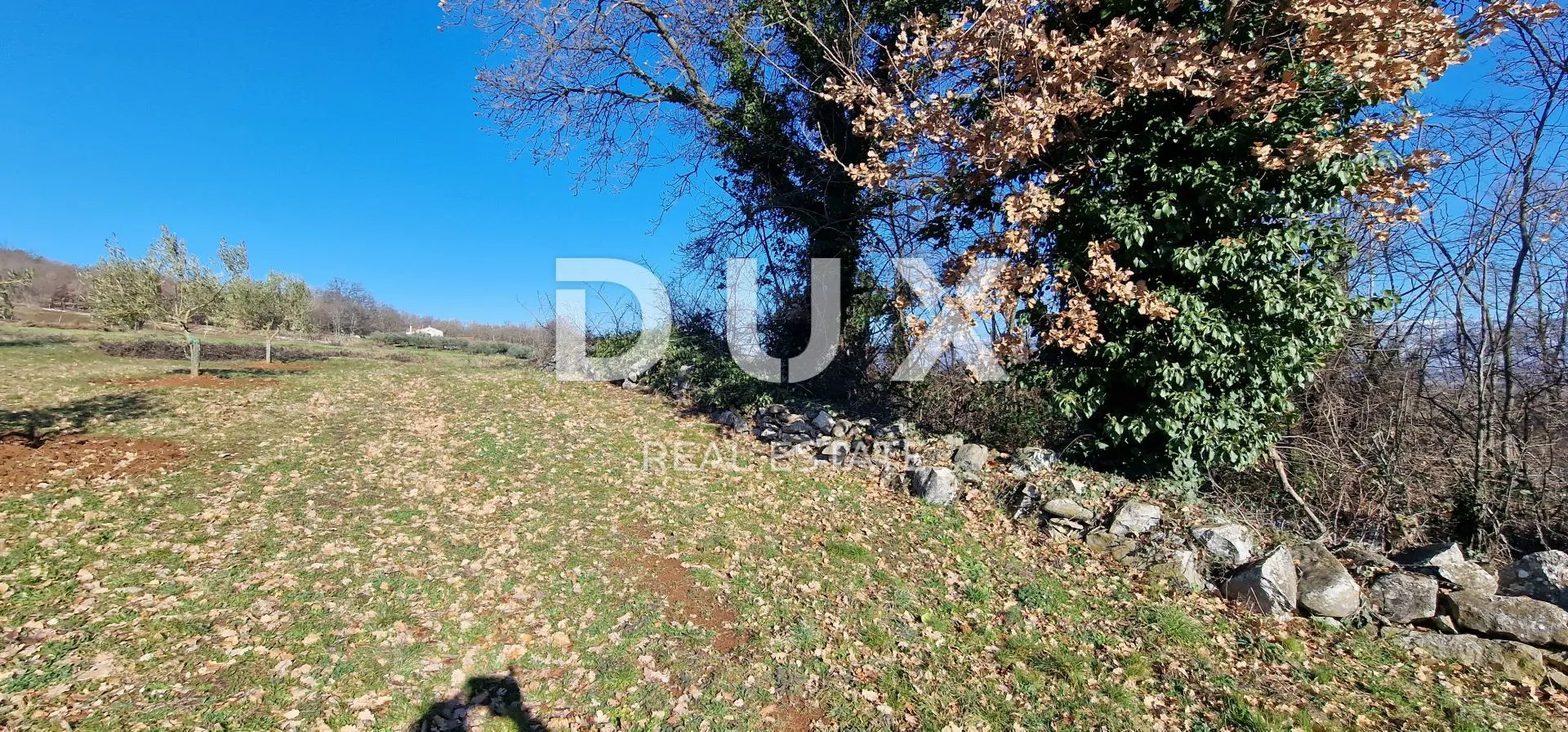 istra, pićan - građevinsko zemljište, maslinik, vinograd, oranica, potpuna osama i fantastičan pogled - slika 69