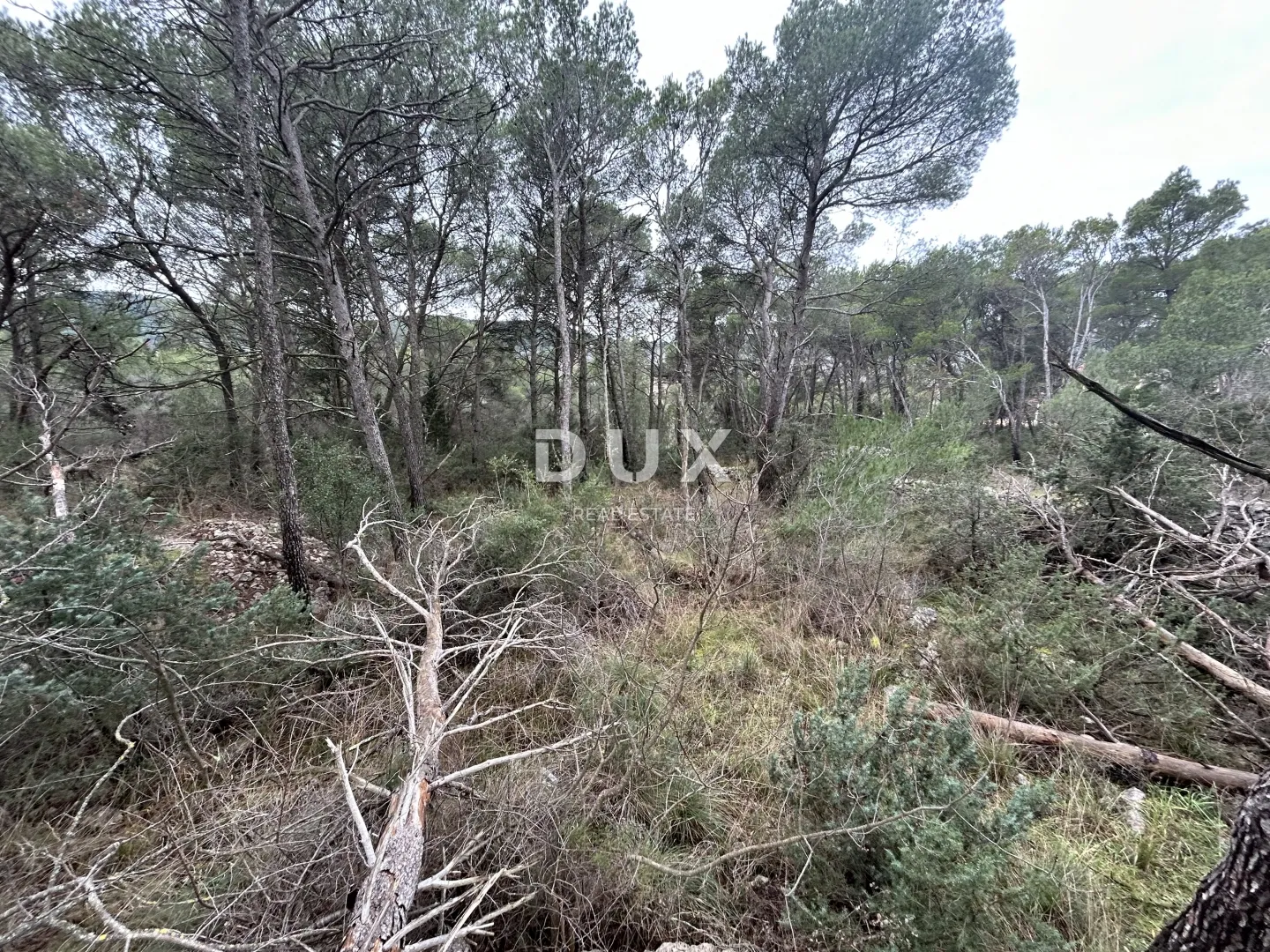 ŠIBENIK, JURASI – Građevinsko zemljište na rubu građevinske zone - Dubrava kod Šibenika, Šibenik