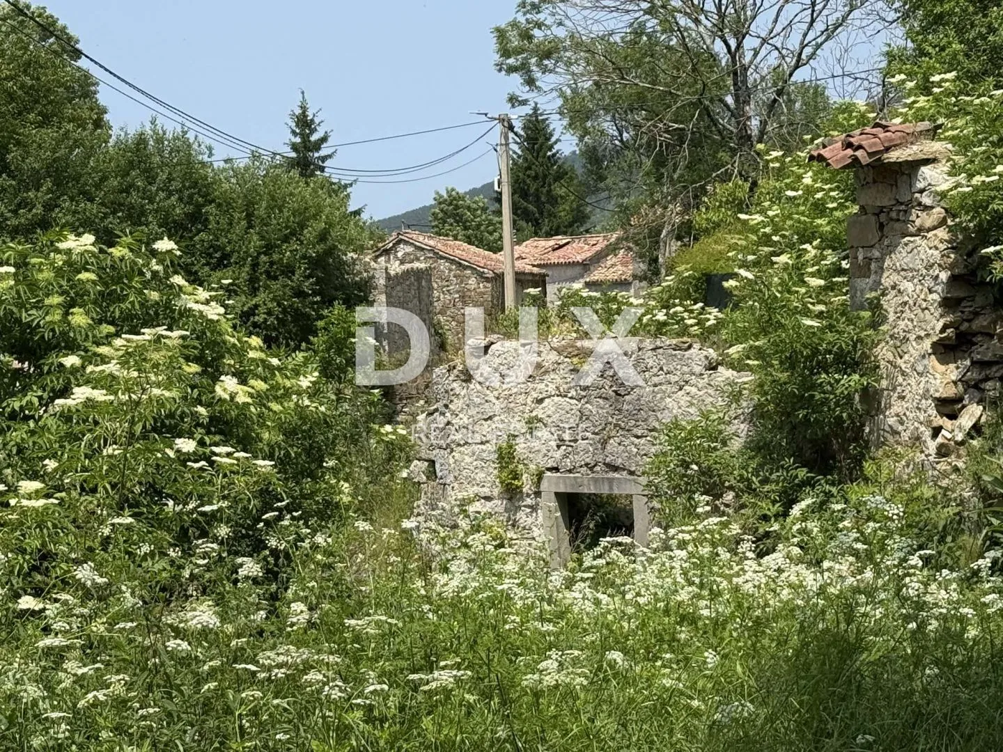 istra, lanišće - kamena ruševina na mirnoj lokaciji - slika 2