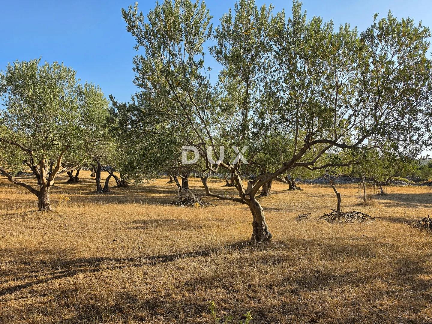krk, kornić, maslinik, 1192 m2, pristup s ceste - slika 7