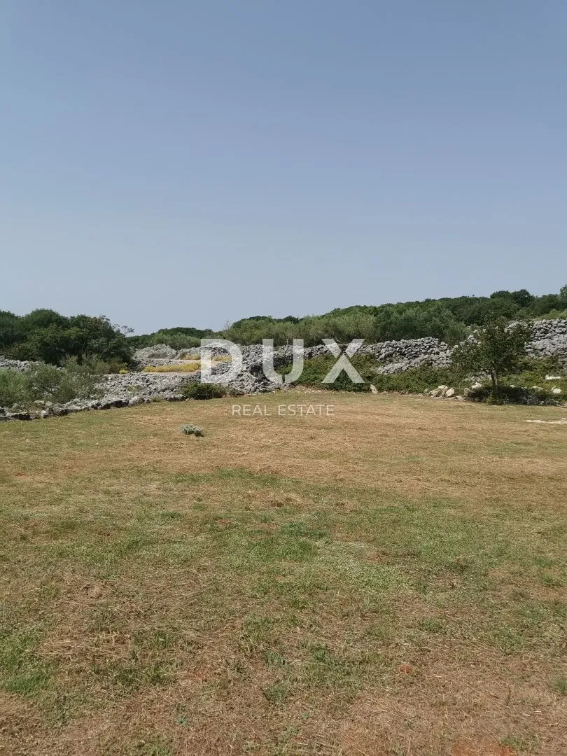 otok krk, grad krk - maslinik sa gospodarskim objektom - slika 5