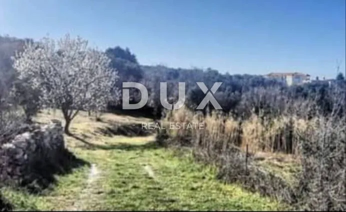 istra, pula građevinsko zemljište na velom vrhu 2900 m2 - slika 4