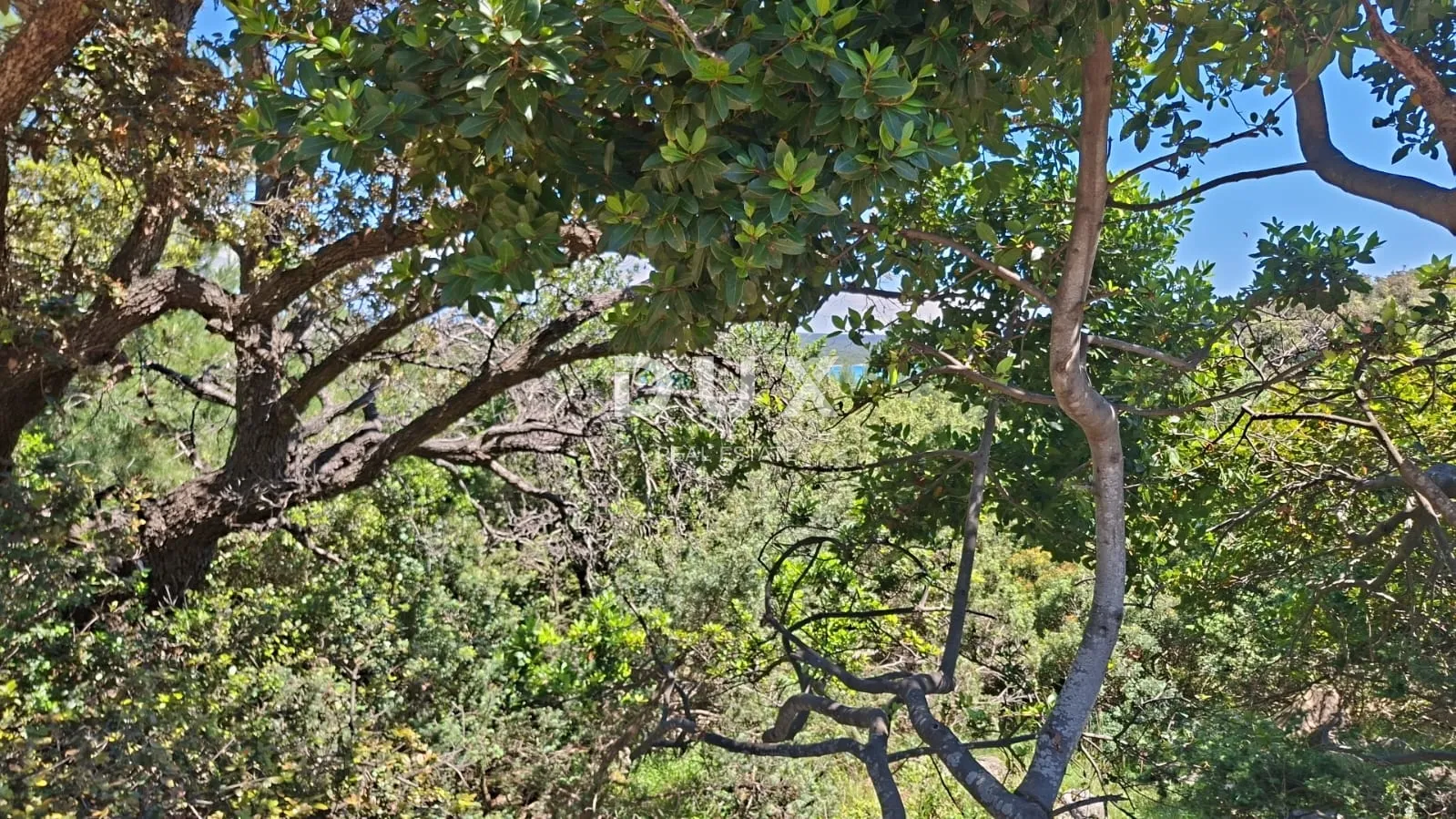 mali lošinj - vikend zemljište - 300 m od mora!! - slika 4