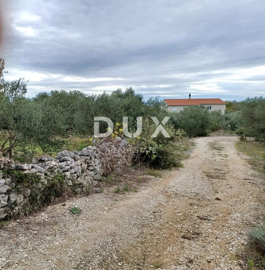 zadar, kukljica - prostrano građevinsko zemljište - slika 5