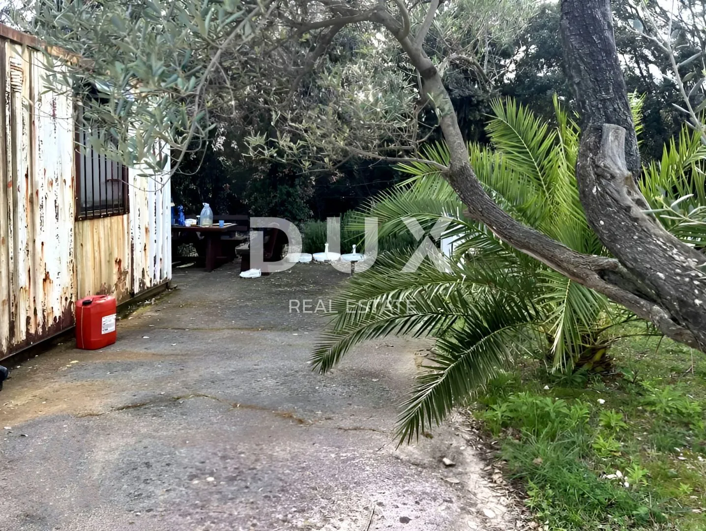 mali lošinj, punta križa, maslinik, 4260 m2 - slika 8
