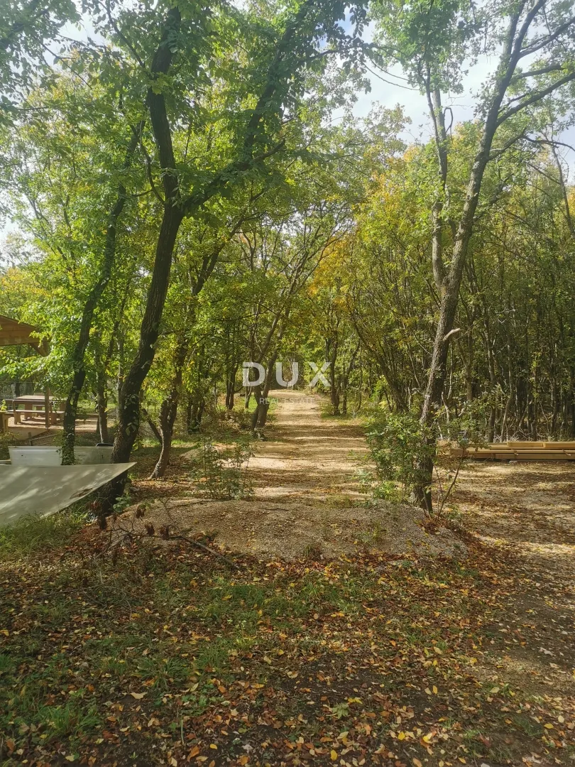 otok krk, punat - poljoprivredno zemljište - slika 4