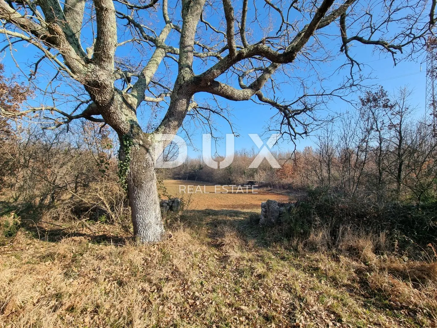 ISTRA, VODNJAN Kompleks građevinskog i poljoprivrednog zemljišta 5 ha, s ruševinom 50 m2