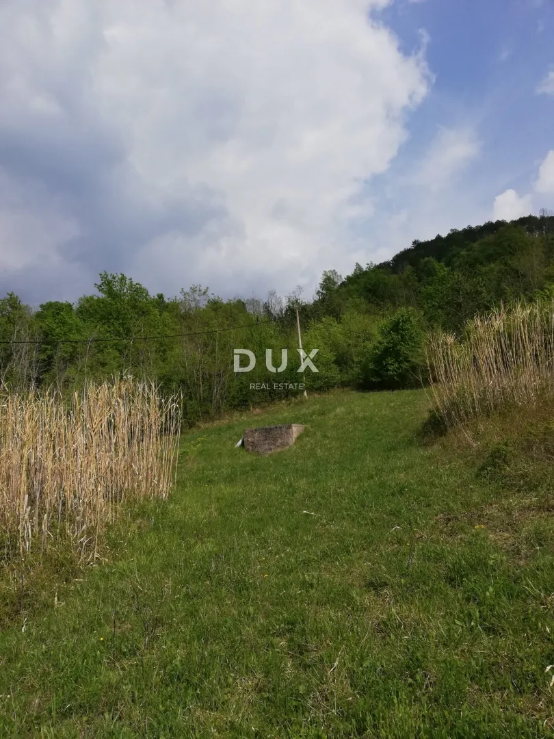istra, motovun, zemljište, 53 183 m2, mještovite namjene - slika 8