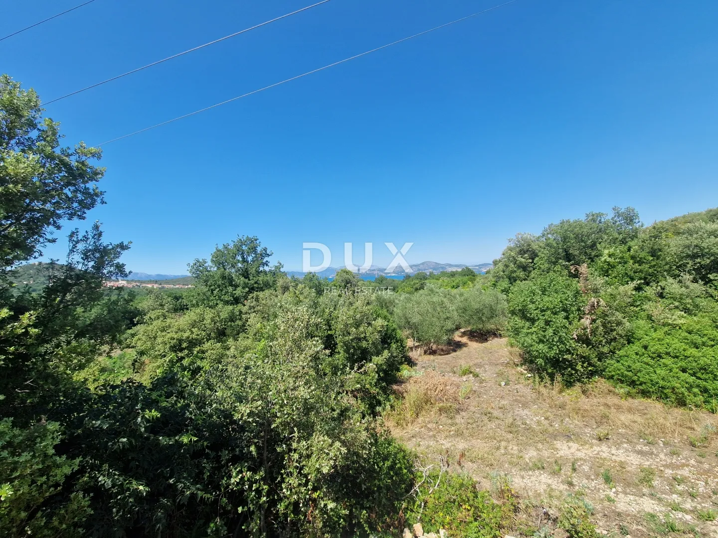 pelješac, popova luka, poljoprivredno zemljište 190.000m² - slika 12