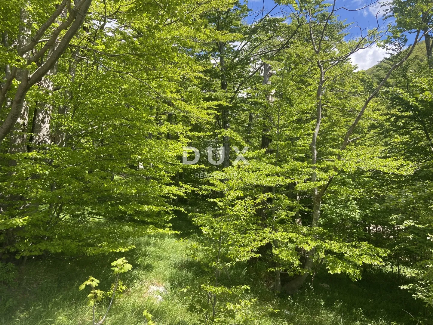 gorski kotar, platak - kuća u blizini skijališta - slika 5