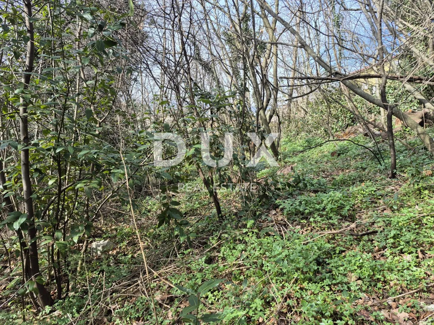 čavle, halovac - građevinsko zemljište 4551 m2 - slika 6