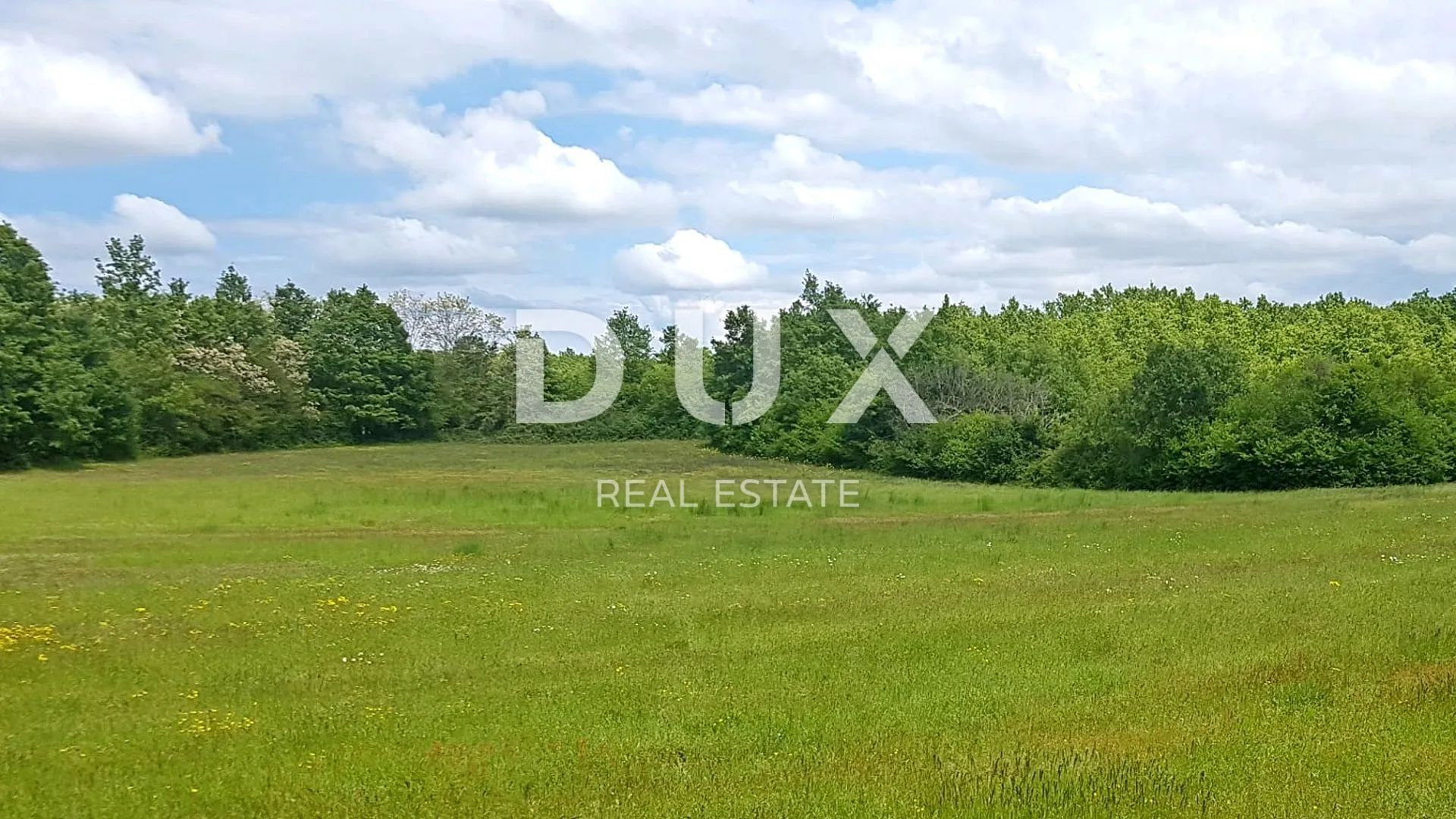 istra, barban, četverosobne kuće, 370m2 - slika 81