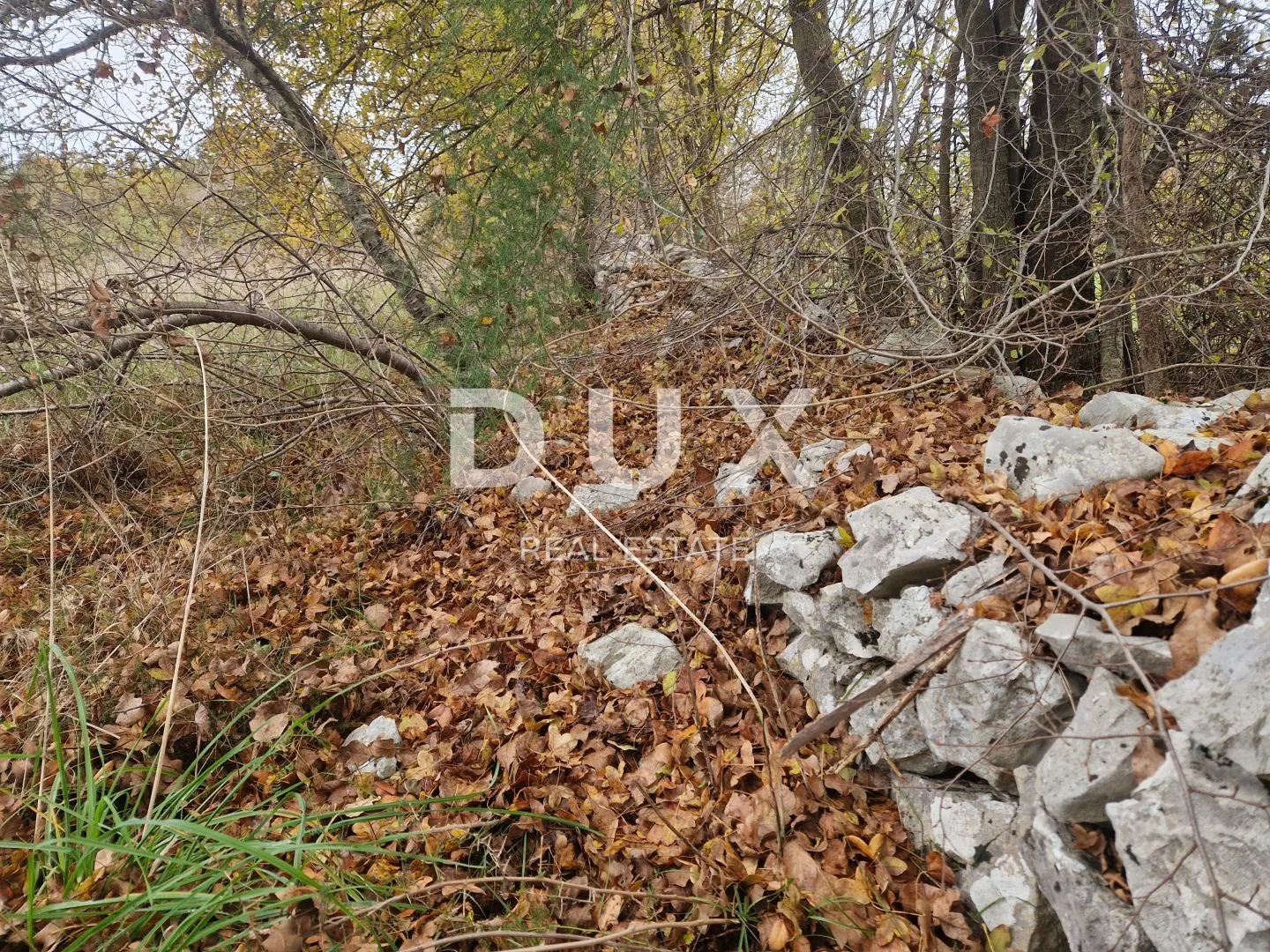 istra, barban - kompleks zemljišta u mirnom naselju - slika 3