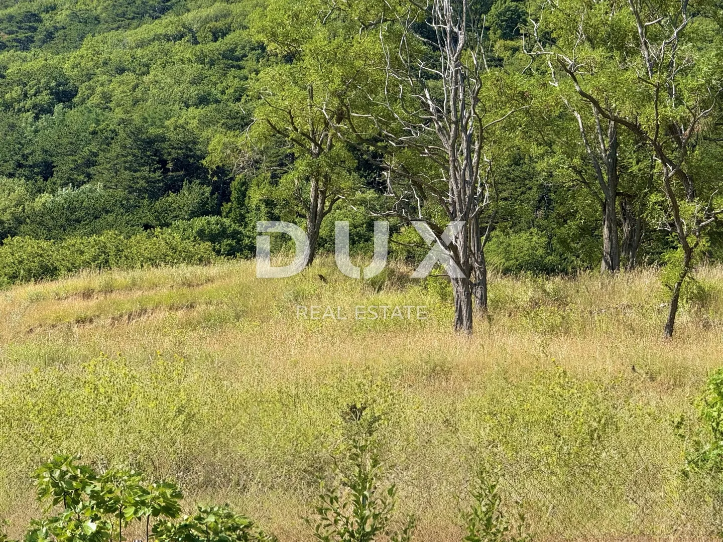 otok krk, baška - malo poljoprivredno zemljište, jedinstvena prilika - slika 2