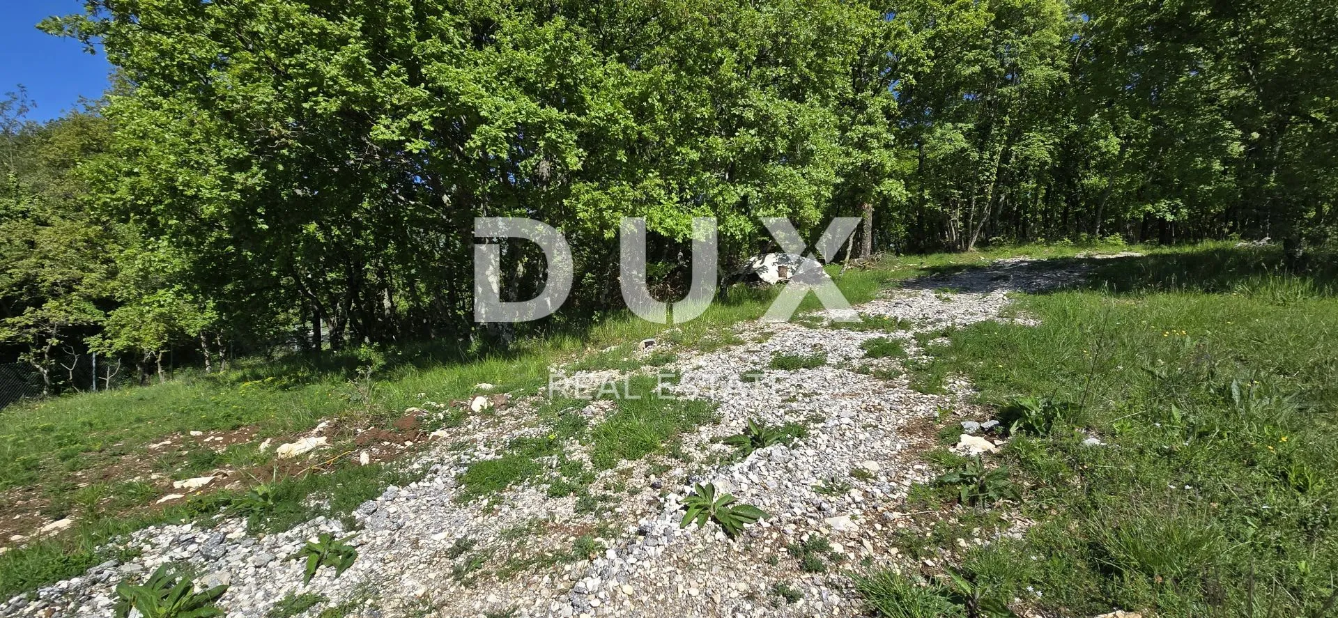ISTRA, PIĆAN - Kompleks zemljišta s dozvolom na rubu naselja