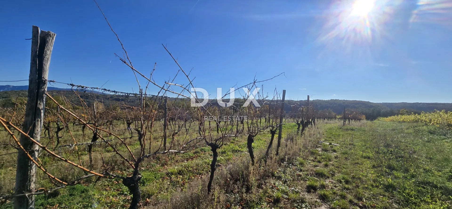 istra, pićan - građevinsko zemljište, maslinik, vinograd, oranica, potpuna osama i fantastičan pogled - slika 16