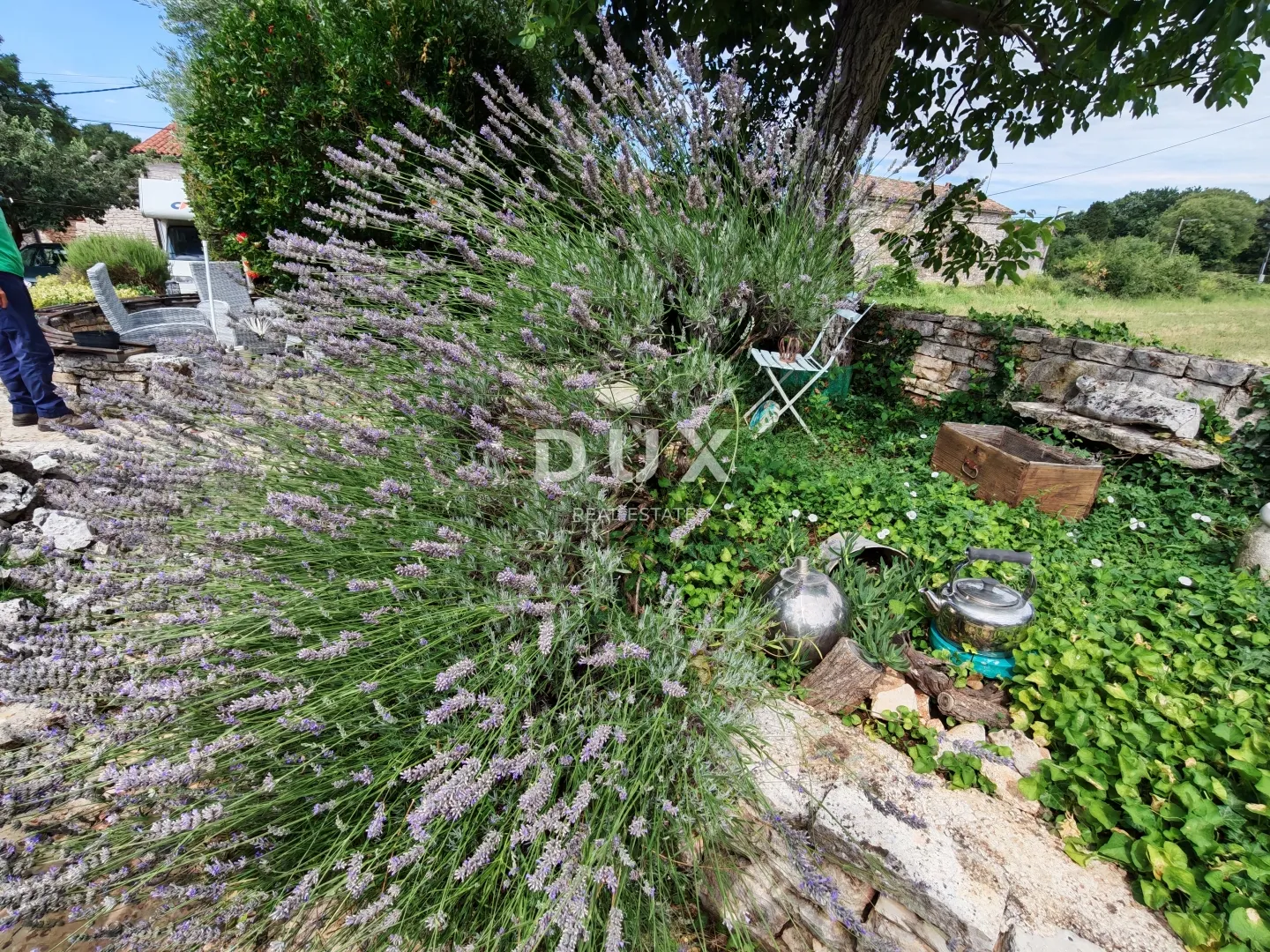 istra, glavani - dvije autohtone kamene kuće + pp! - slika 9