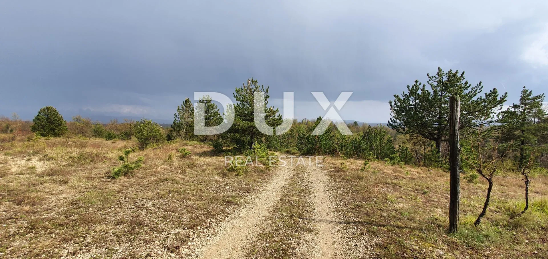 istra, gračišće - vinograd, maslinik, livada i šuma s prekrasnim pogledom - slika 4