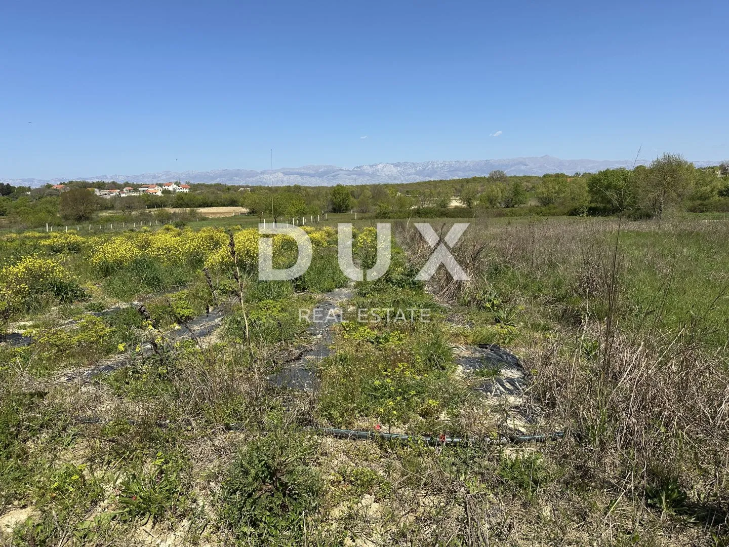 zadar, murvica - poljoprivredno zemljište s potencijalom - 3000m² - slika 5