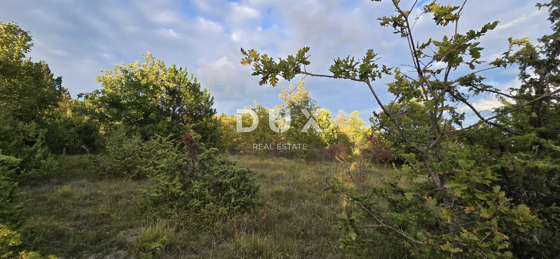 istra, gračišće - poljoprivredno zemljište s asfaltiranim prilazom - slika 9