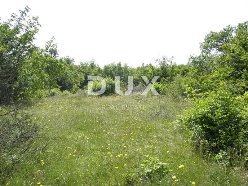 istra, labin - poljoprivredno zemljište 44000m2 sa ruševnim objektom - slika 2