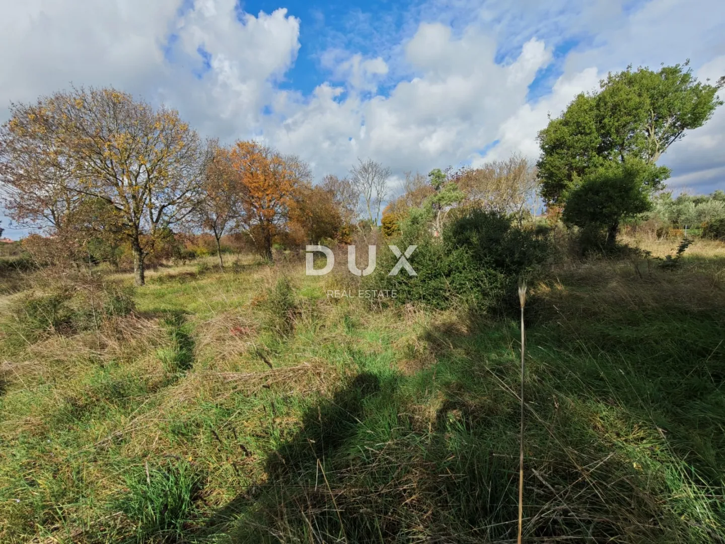 istra, pula - prostrano poljoprivredno zemljište 11420m2! - slika 3