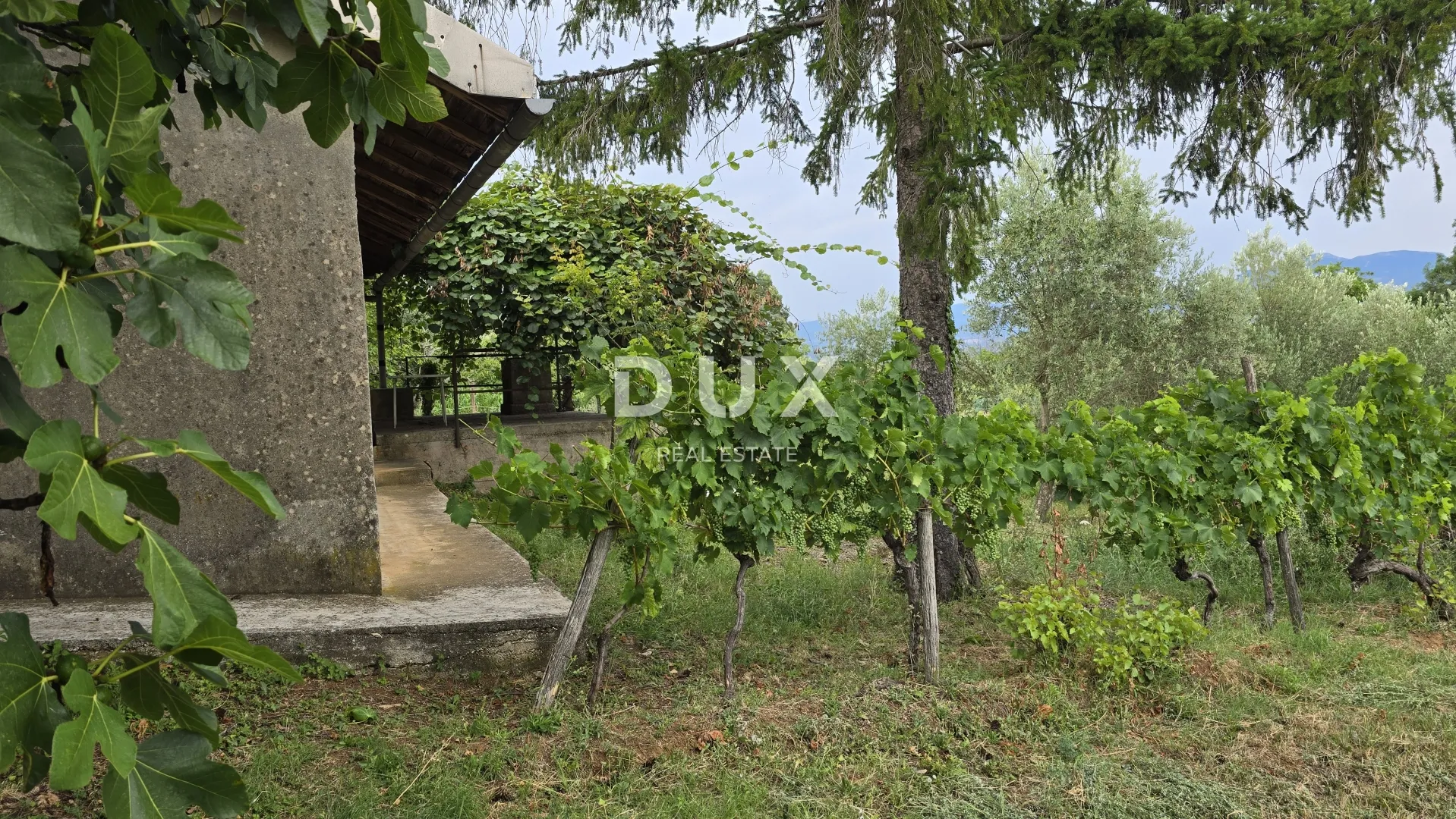 istra, labin – kućica u prirodi, potpuna osama s velikom okućnicom - slika 8