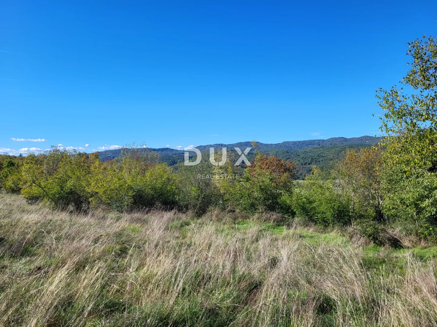lupoglav, boljunsko polje, kamene kuće, 166 m2 - slika 14