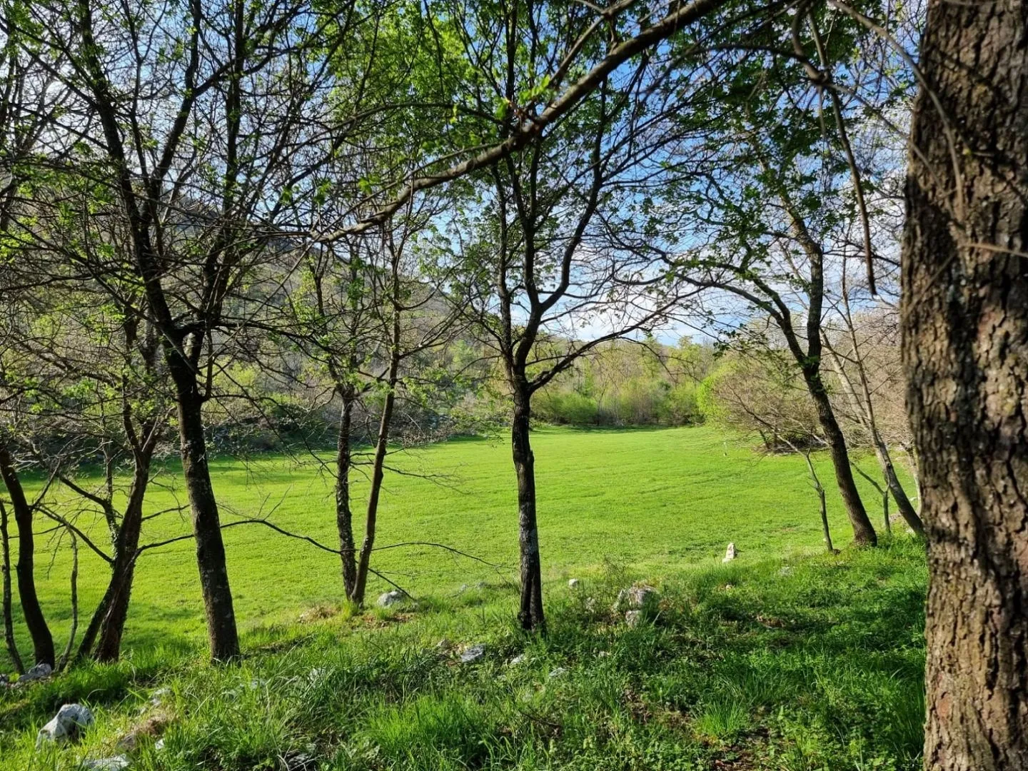 istra, rabac - prostrano imanje na očaravajućoj lokaciji - slika 24