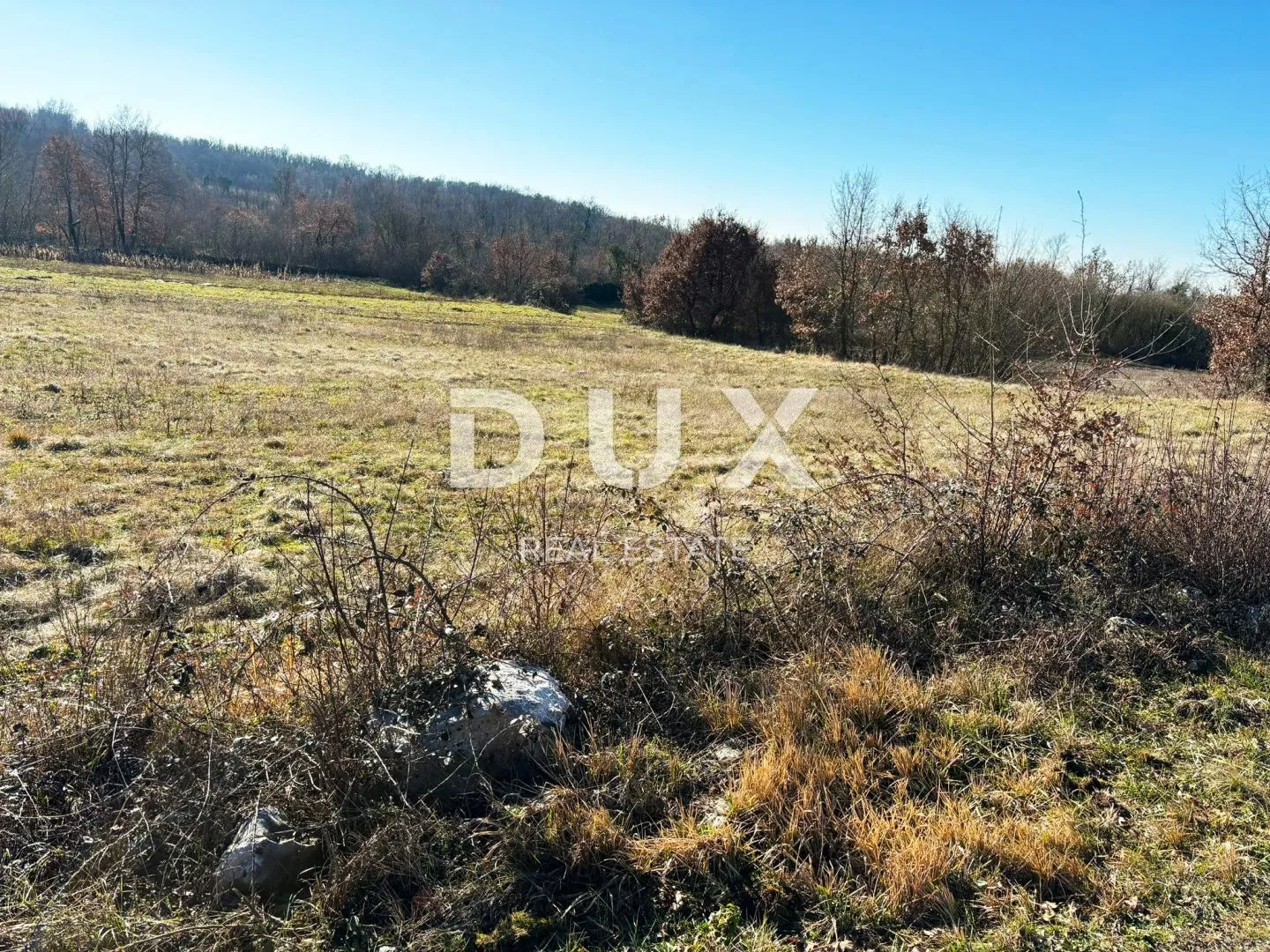 istra, tinjan - građevinsko zemljište na rubu naselja - slika 2