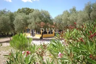 otok krk, šotovento - samostojeća kuća s bazenom i 700 m2 okućnice - slika 2