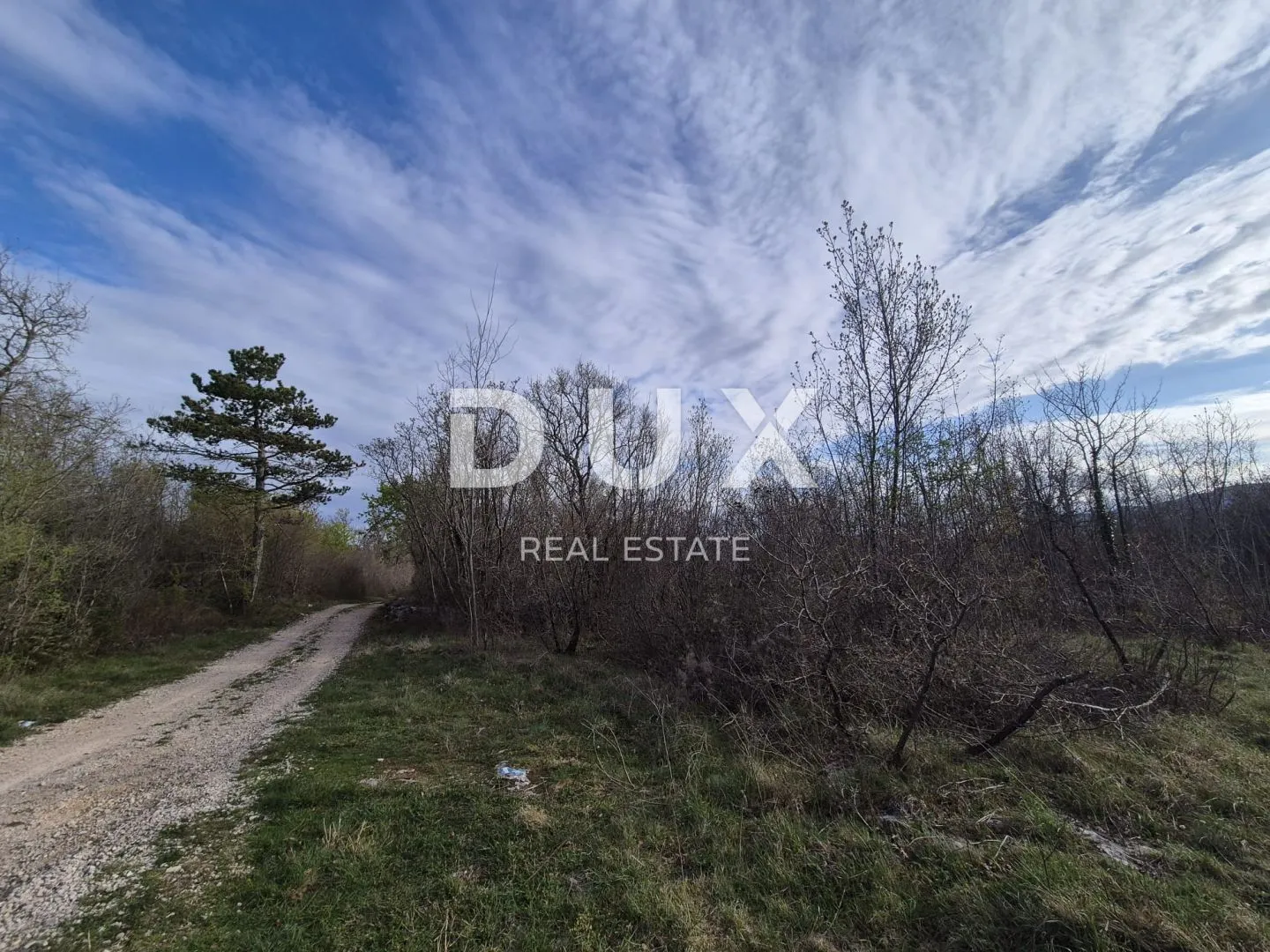 istra, labin - mlada šuma od 4 hektara - slika 3