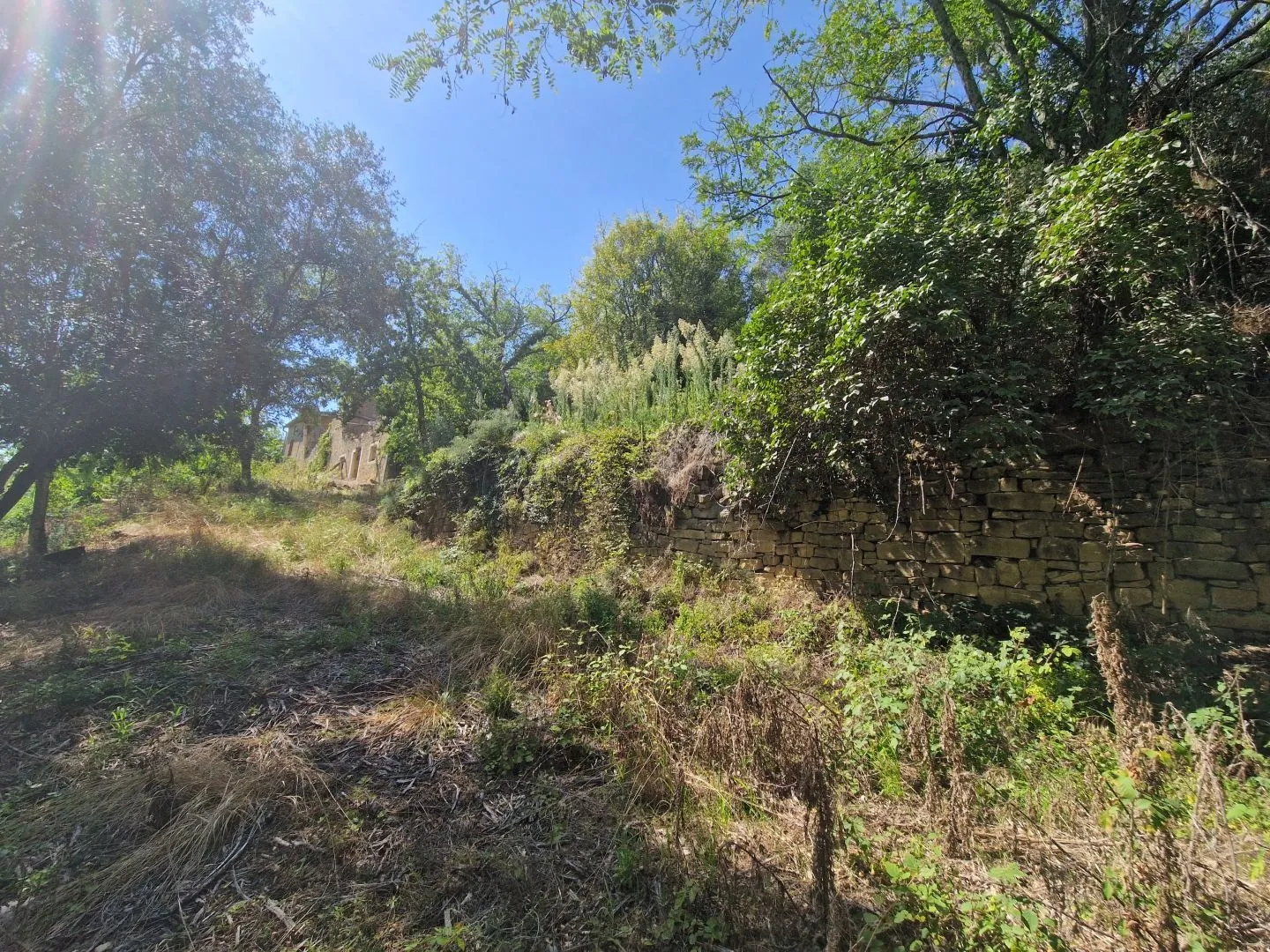 istra, oprtalj - kamena starina s panoramskim pogledom na zelenilo - slika 26